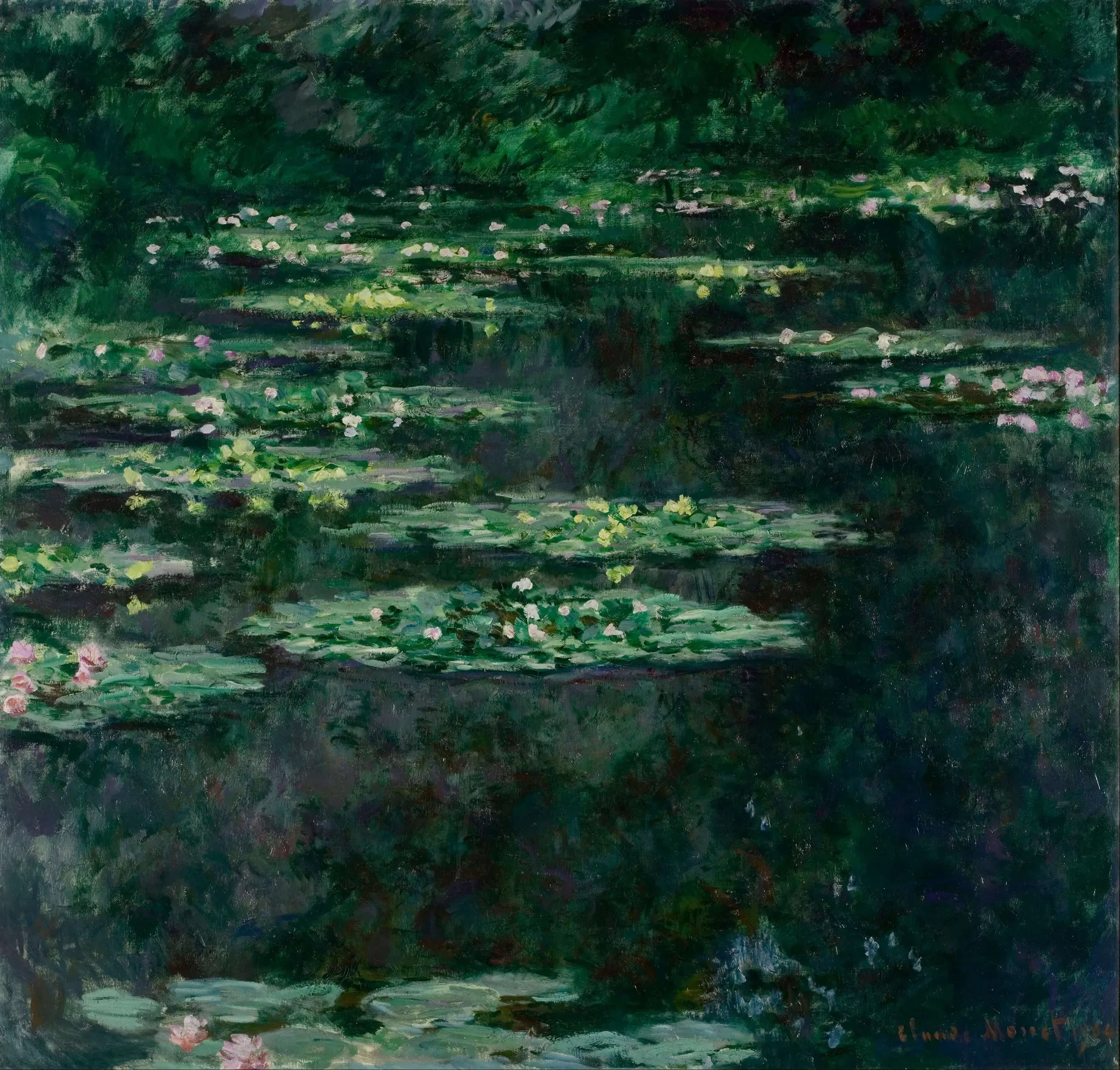 Lily Pond